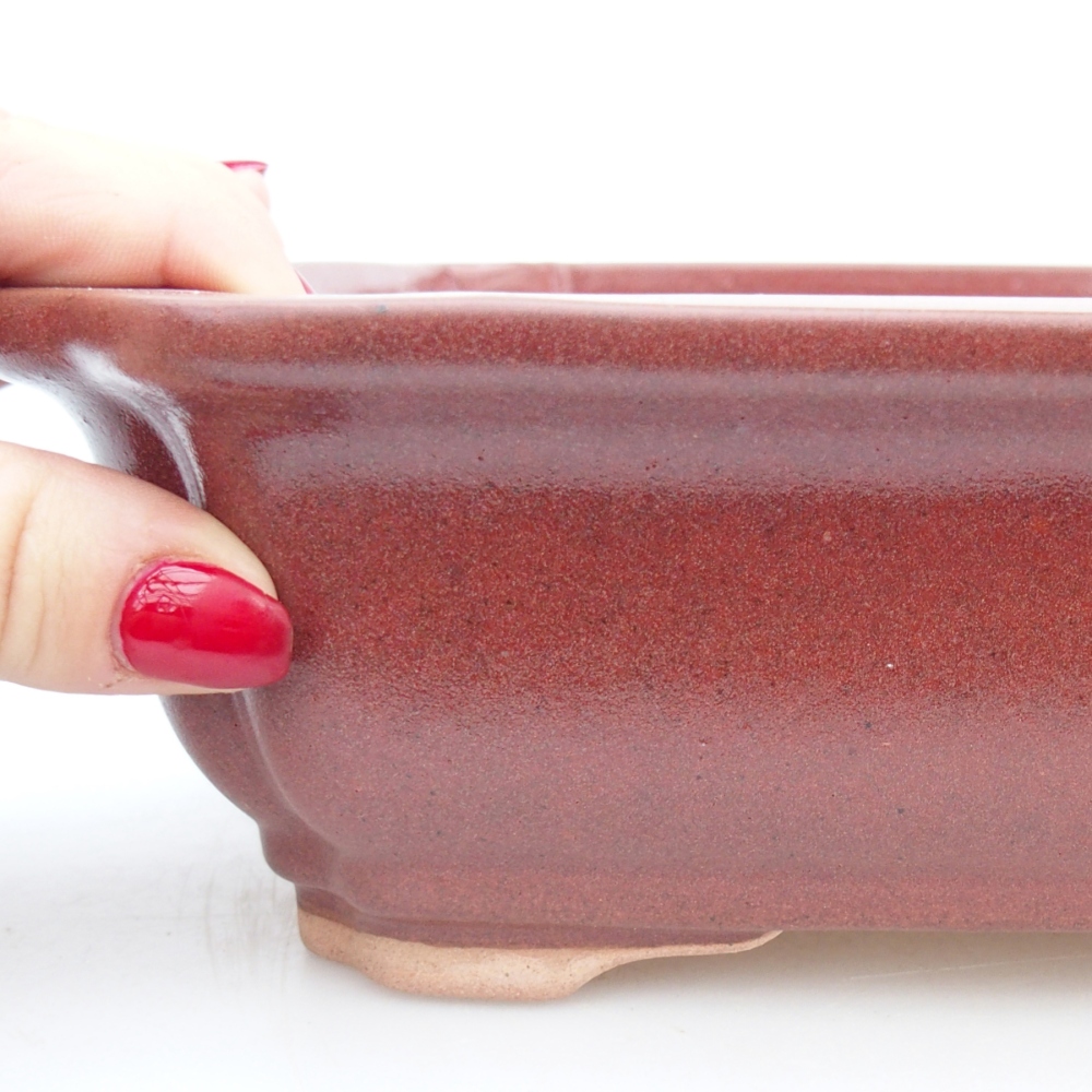 Ceramic bonsai bowl 27,5 x 22 x 7 cm, colour burgundy