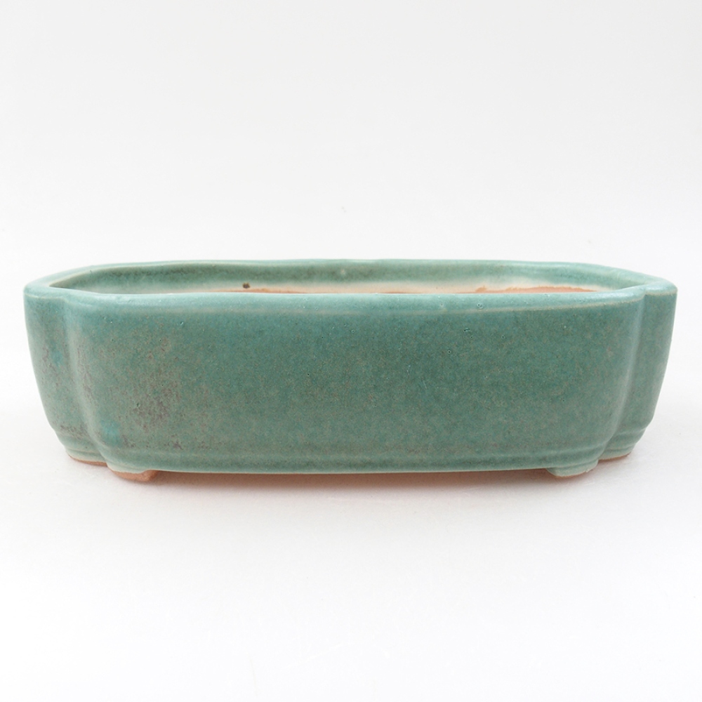 Ceramic bonsai bowl 18 x 13 x 5 cm, color green