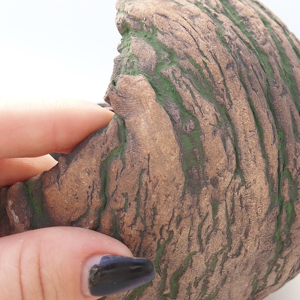 Ceramic Shell 13 x 13 x 12 cm , colour green