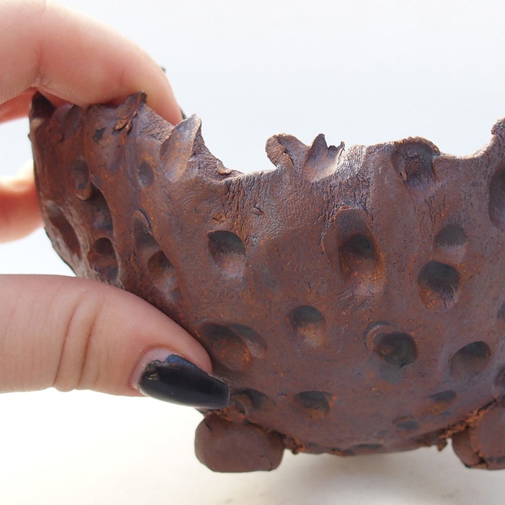 Ceramic Shell 13 x 12,5 x 8,5 cm , colour brown