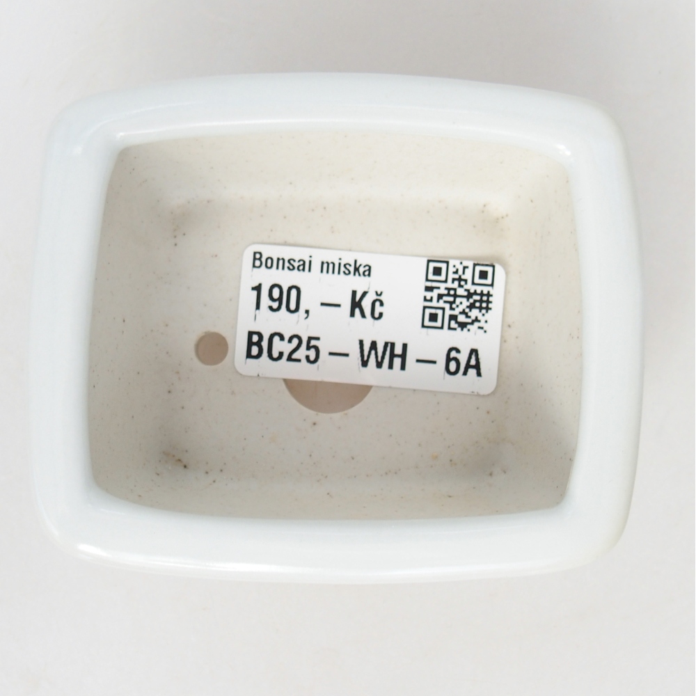 Mini bonsai bowl 8 x 6,5 x 3,5 cm, white