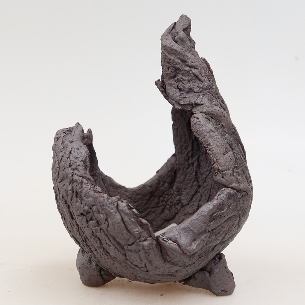 Ceramic Shell, 8 x 8 x 13 cm, brown