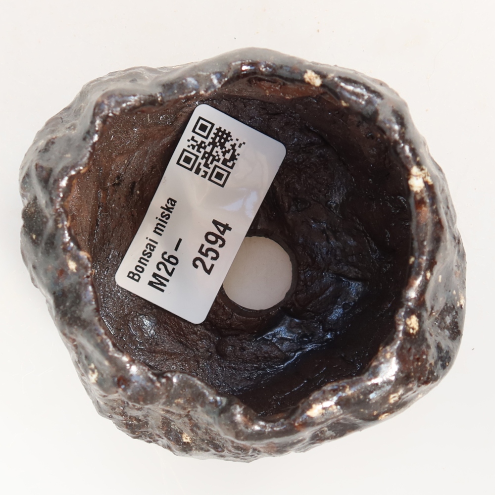 Ceramic Shell, 6.5 x 6.5 x 5.5 cm, brown
