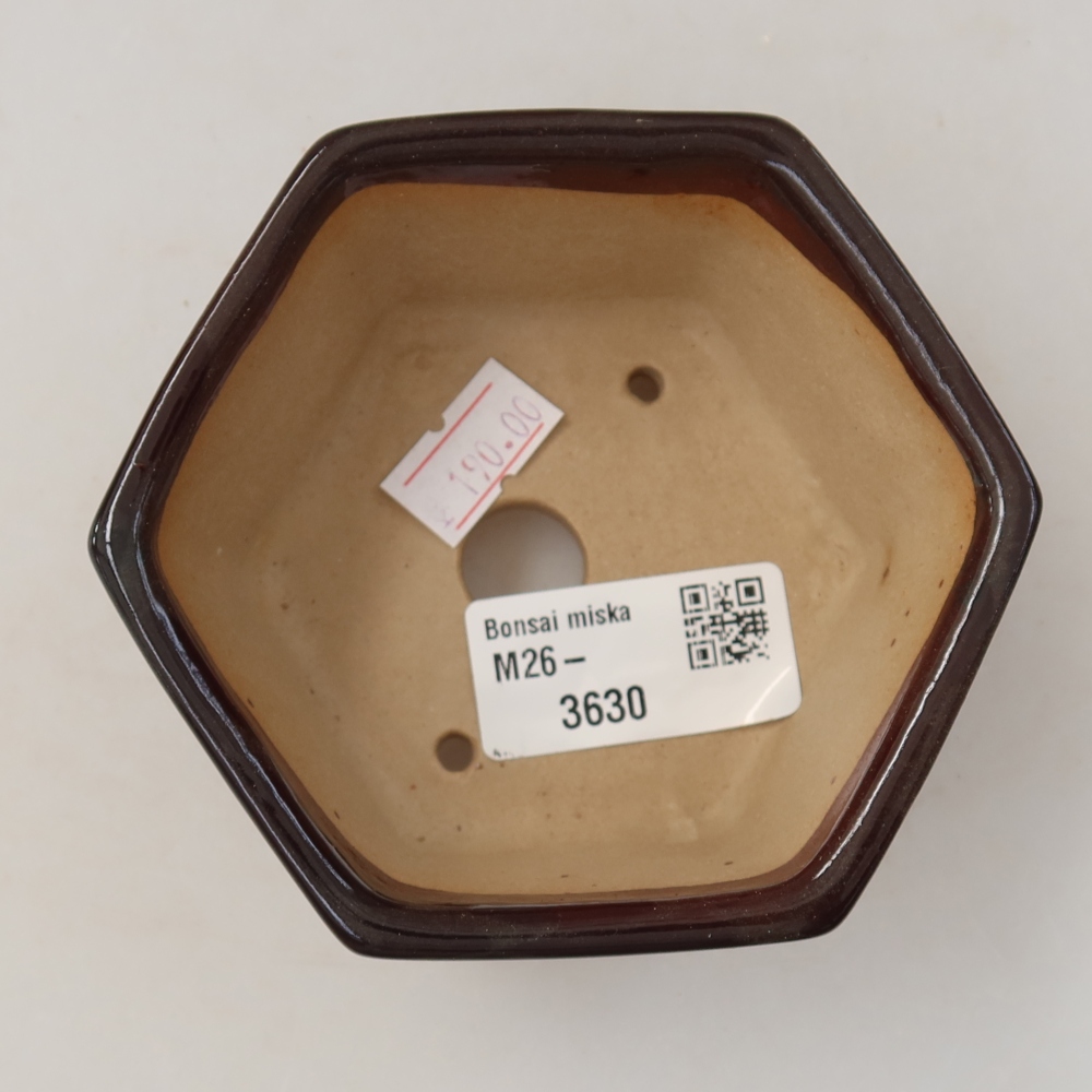 Ceramic bonsai bowl 10 x 9 x 5 cm, brown