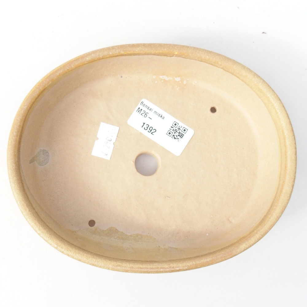 Ceramic bonsai bowl 17 x 13,5 x 4 cm, colour beige