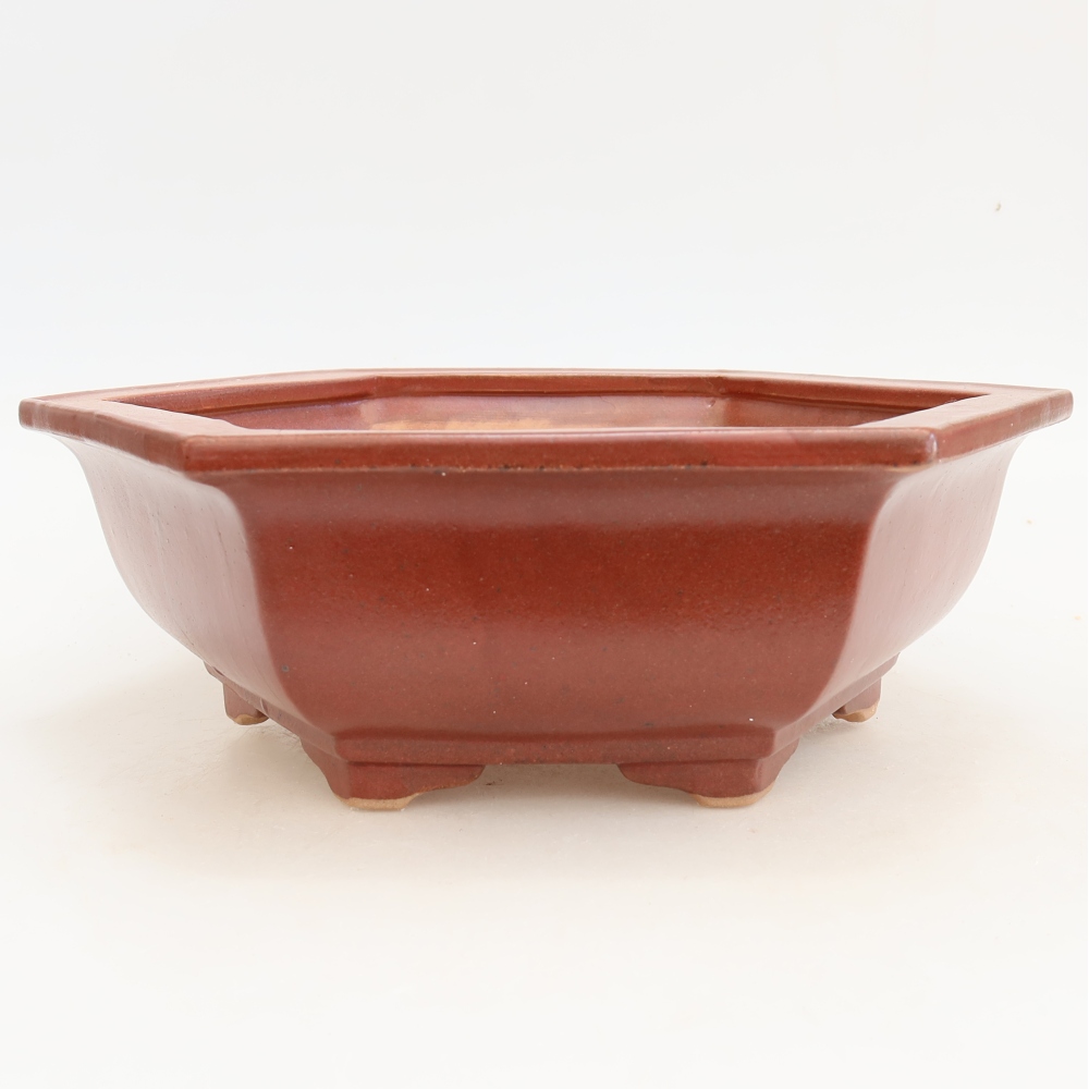 Ceramic bonsai pot, 28 x 24.5 x 9 cm, burgundy