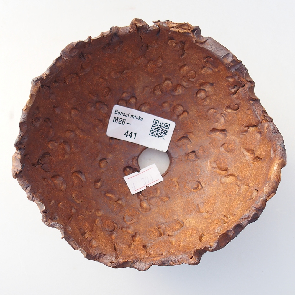 Ceramic Shell 13 x 12,5 x 8,5 cm , colour brown