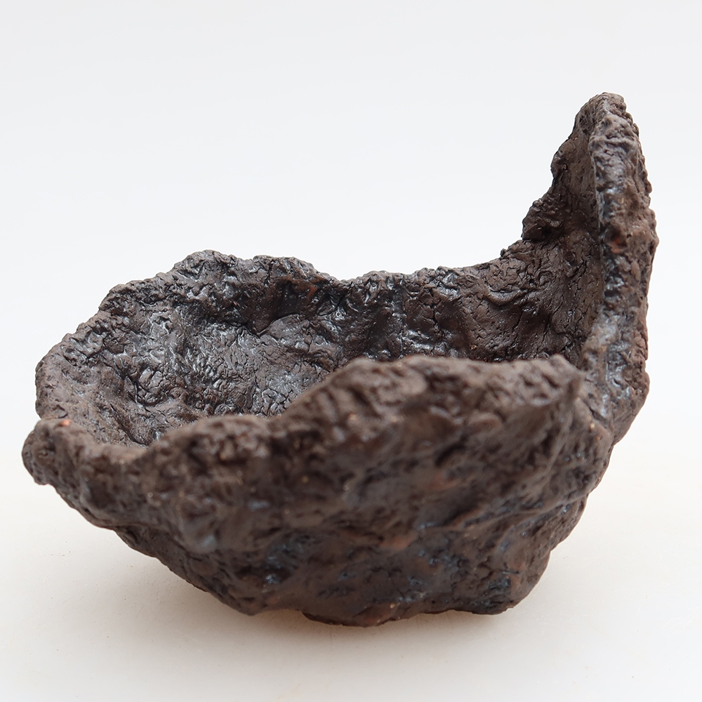 Ceramic Shell, 9.5 x 8.5 x 8 cm, brown