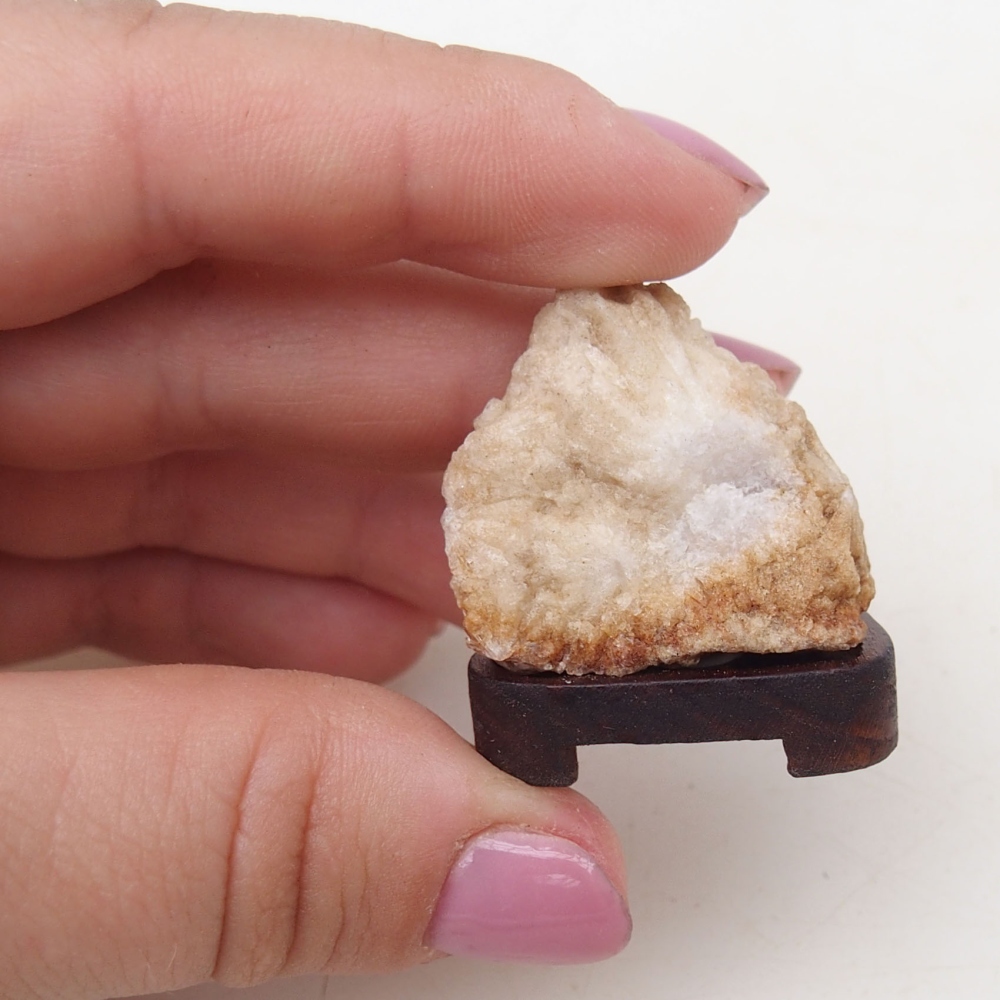 Suiseki - Stone with DAI (wooden pad)