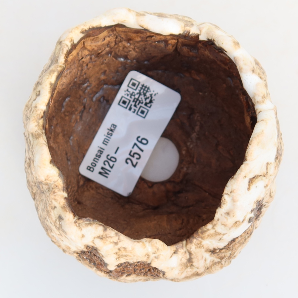 Ceramic Shell, 7 x 7 x 6 cm, white-brown
