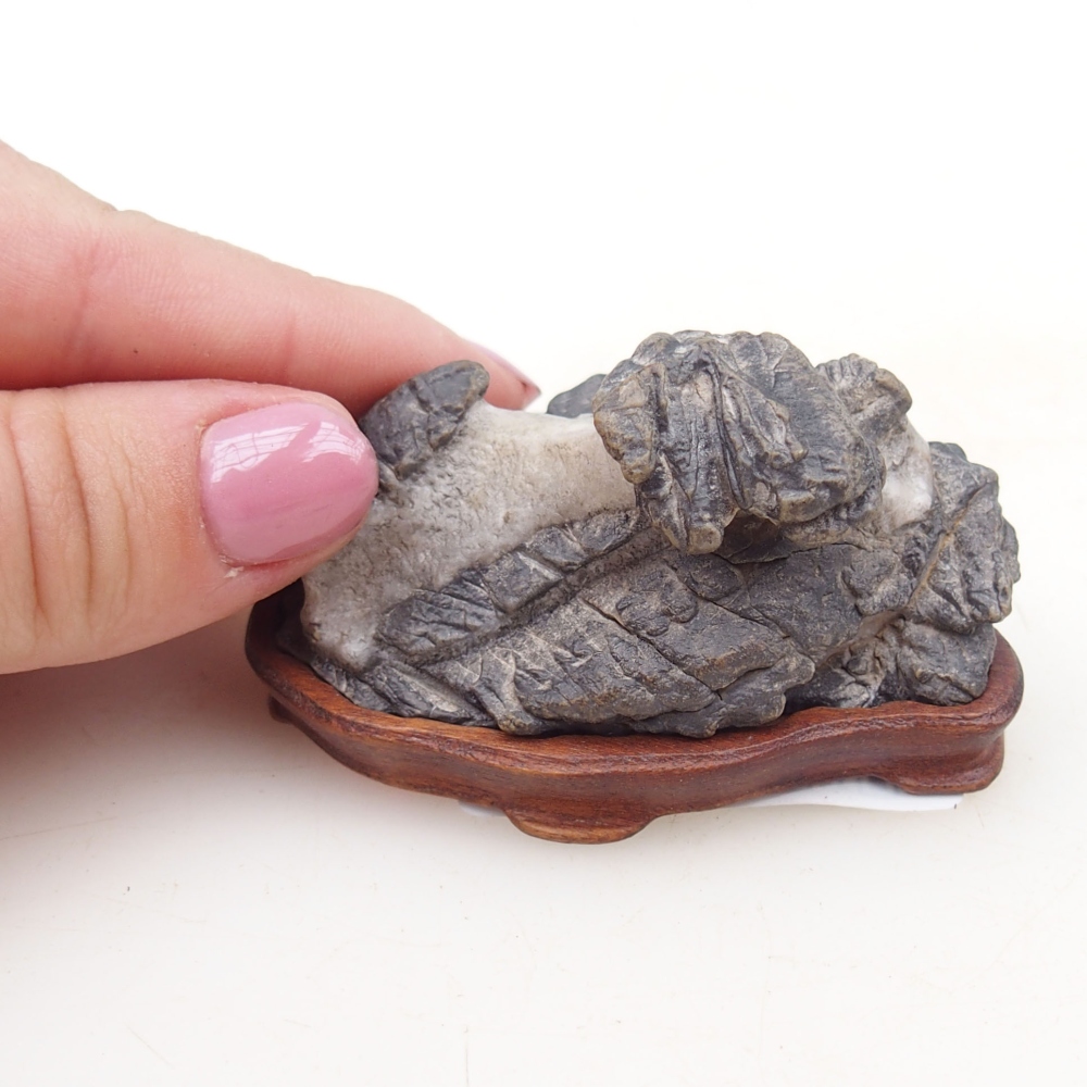 Suiseki - Stone with DAI (wooden pad)