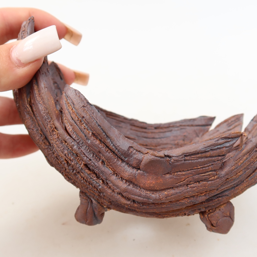 Ceramic Shell  15.5 x 10.5 x 10.5 cm, brown