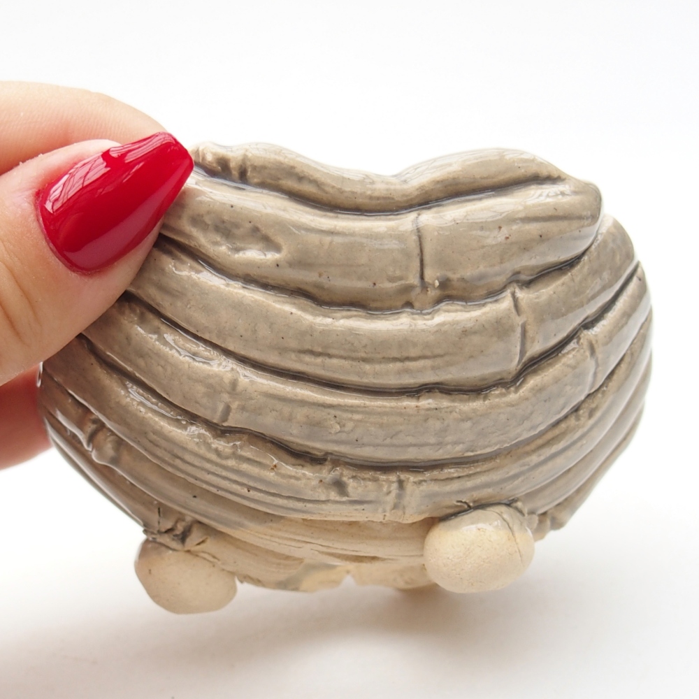 Ceramic Shell 8,5 x 8,5 x 6 cm , colour beige