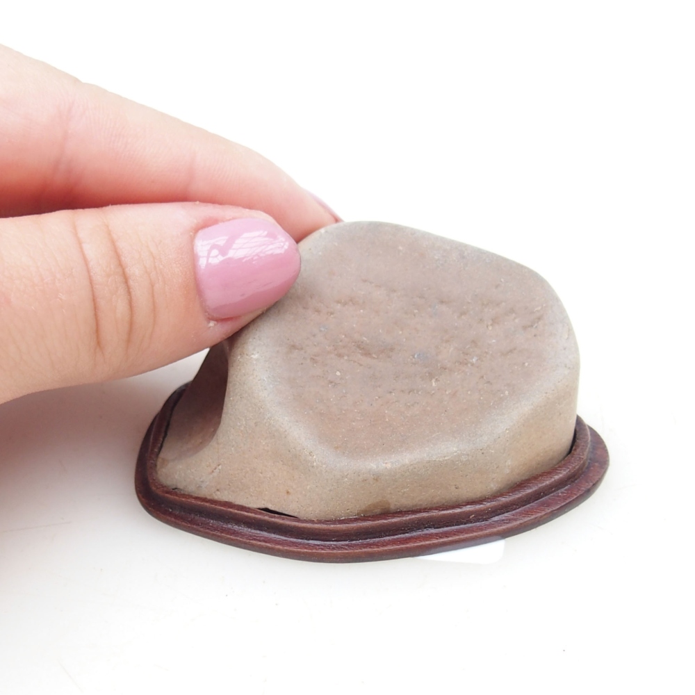 Suiseki - Stone with DAI (wooden pad)
