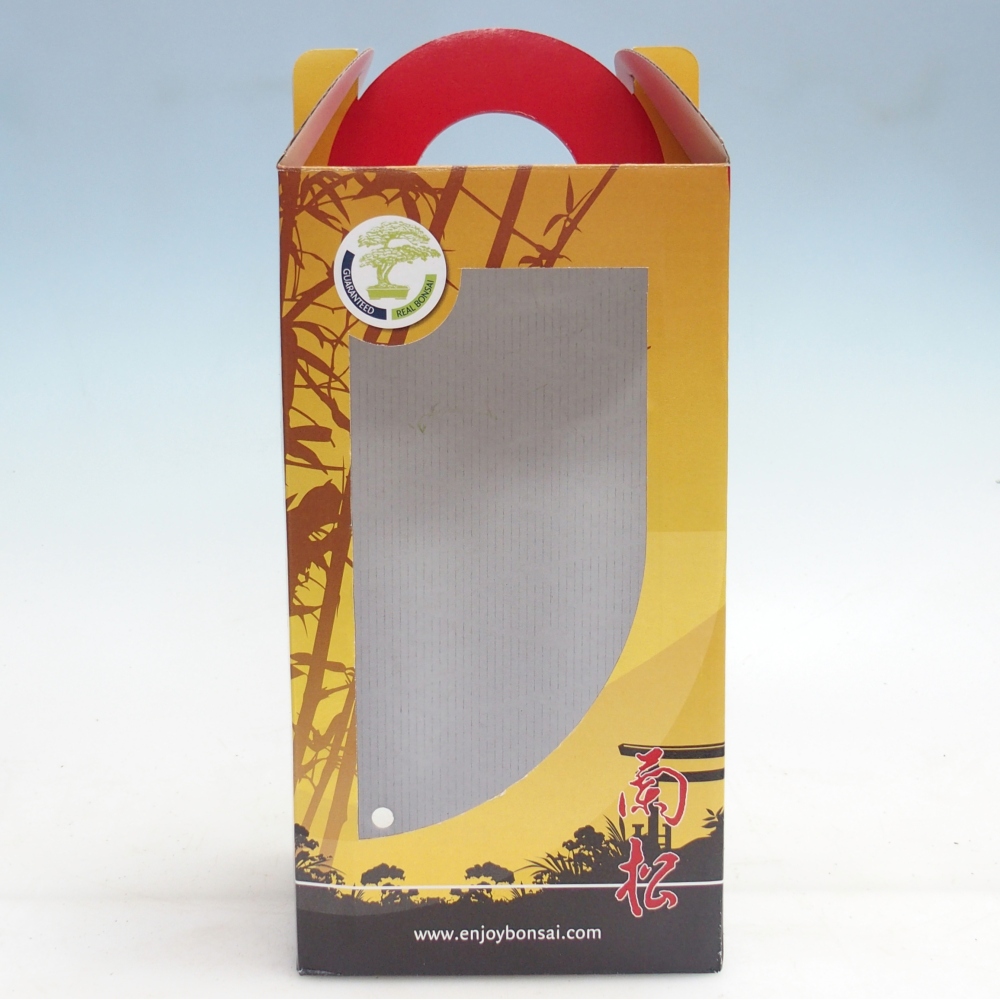Gift bonsai box - paper