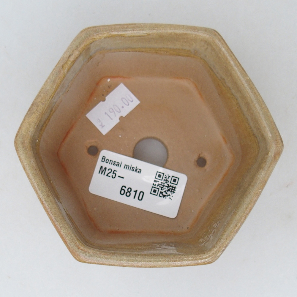 Ceramic bonsai bowl 10,5 x 9,5 x 5 cm, colour beige