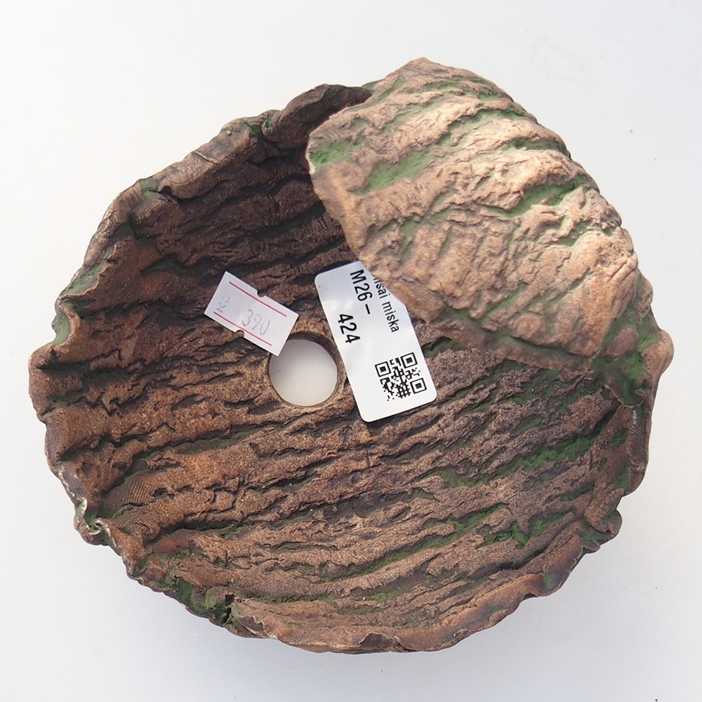 Ceramic Shell 13 x 13 x 12 cm , colour green