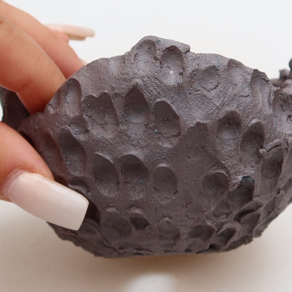 Ceramic Shell  10 x 10 x 7 cm, metallic color