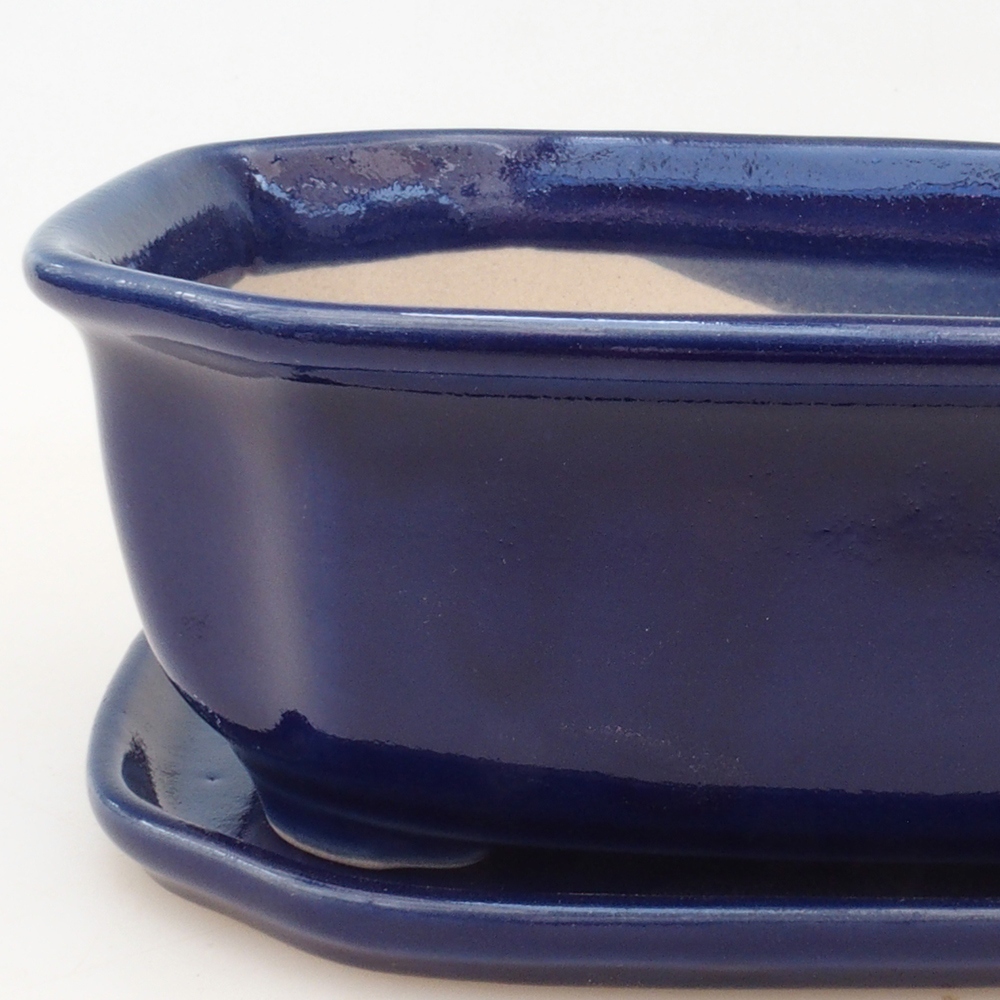 Bonsai bowl + saucer H31 - blue
