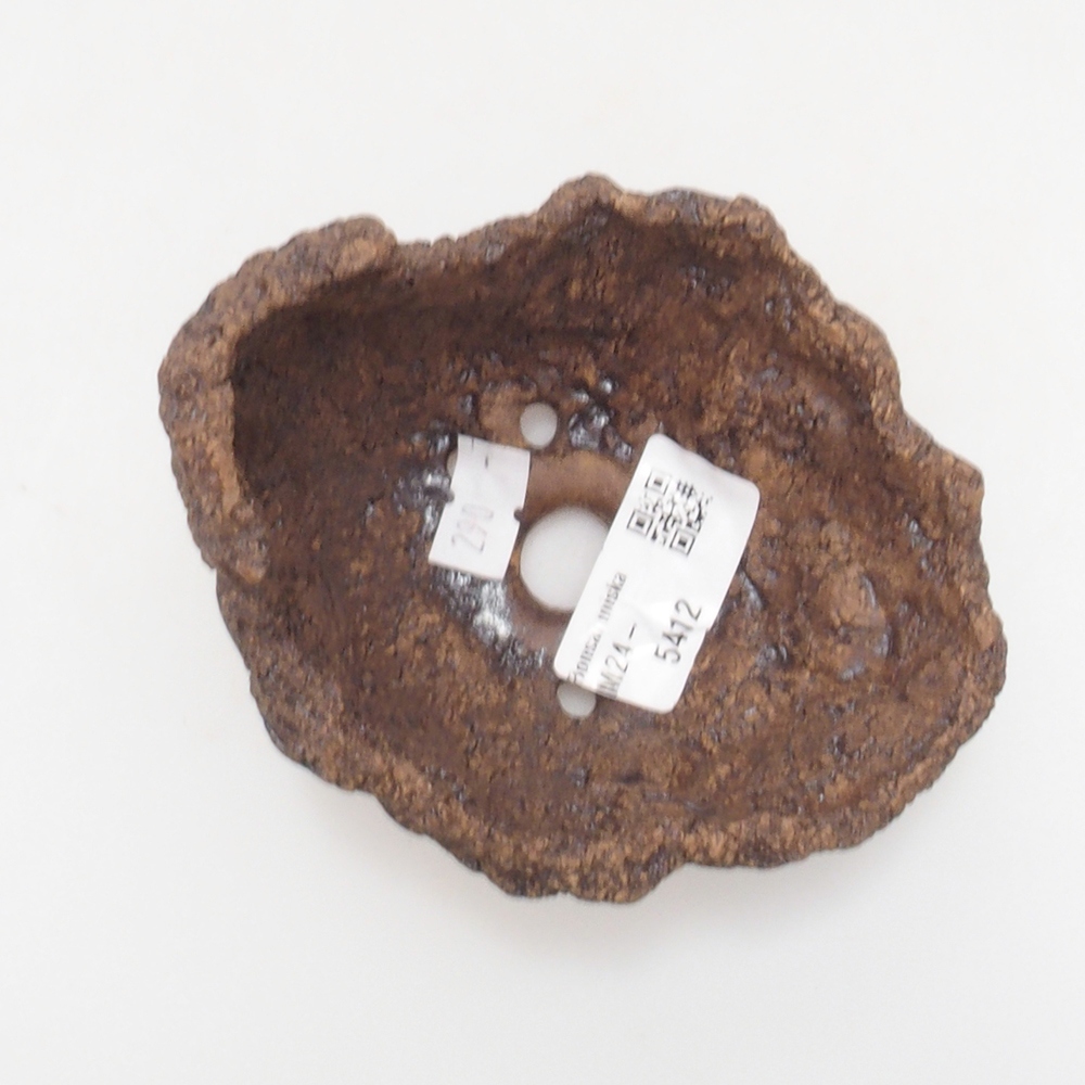 Ceramic shell 9 x 8 x 8,5 cm, brown color