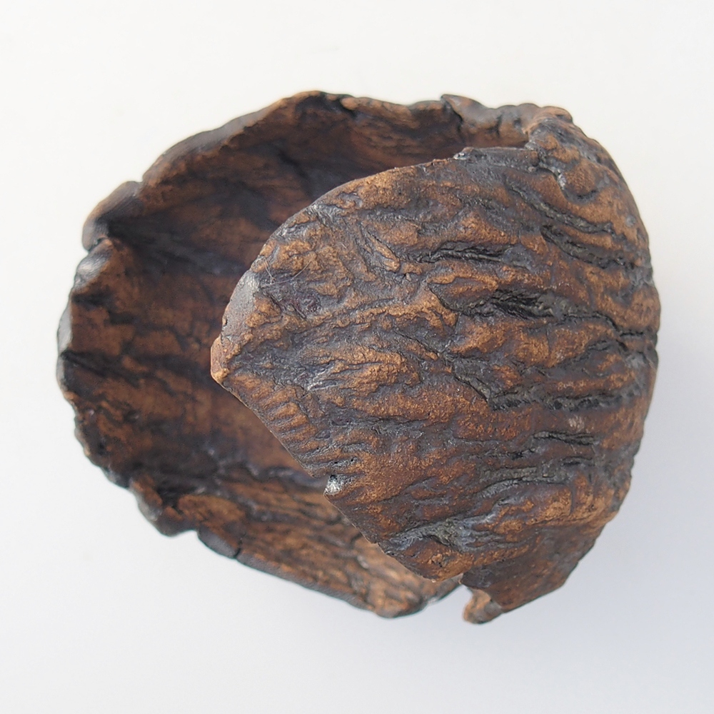 Ceramic Shell 9,5 x 9 x 12 cm , colour brown