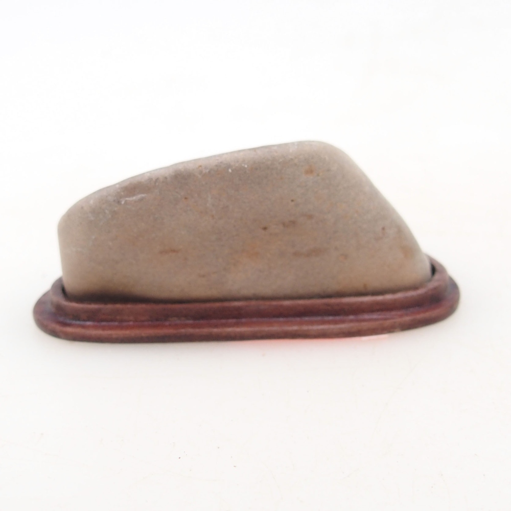Suiseki - Stone with DAI (wooden pad)