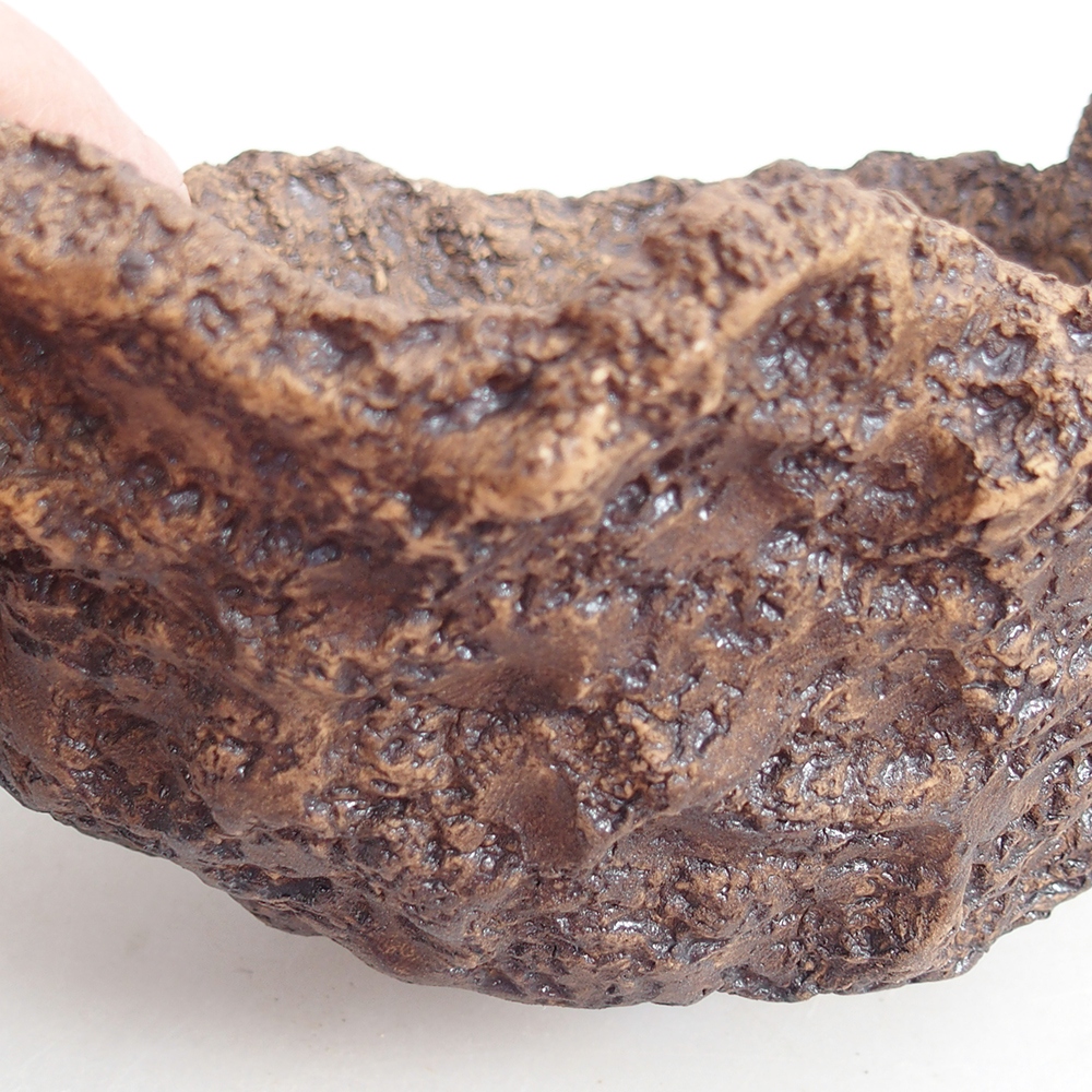 Ceramic shell 19 x 15 x 14 cm , colour brown