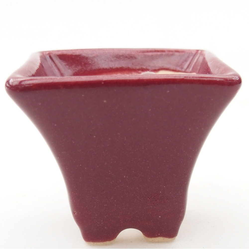 Mini bonsai bowl 4 x 4 x 3,5 cm, burgundy