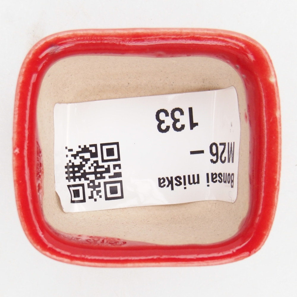 Mini bonsai bowl 4 x 3,5 x 2,5 cm, colour red