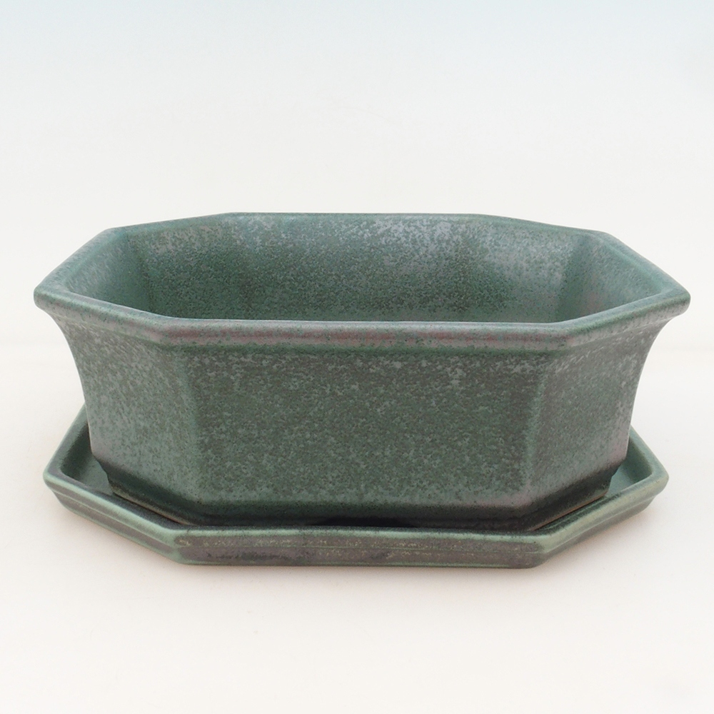 Bonsai bowl + bowl H14