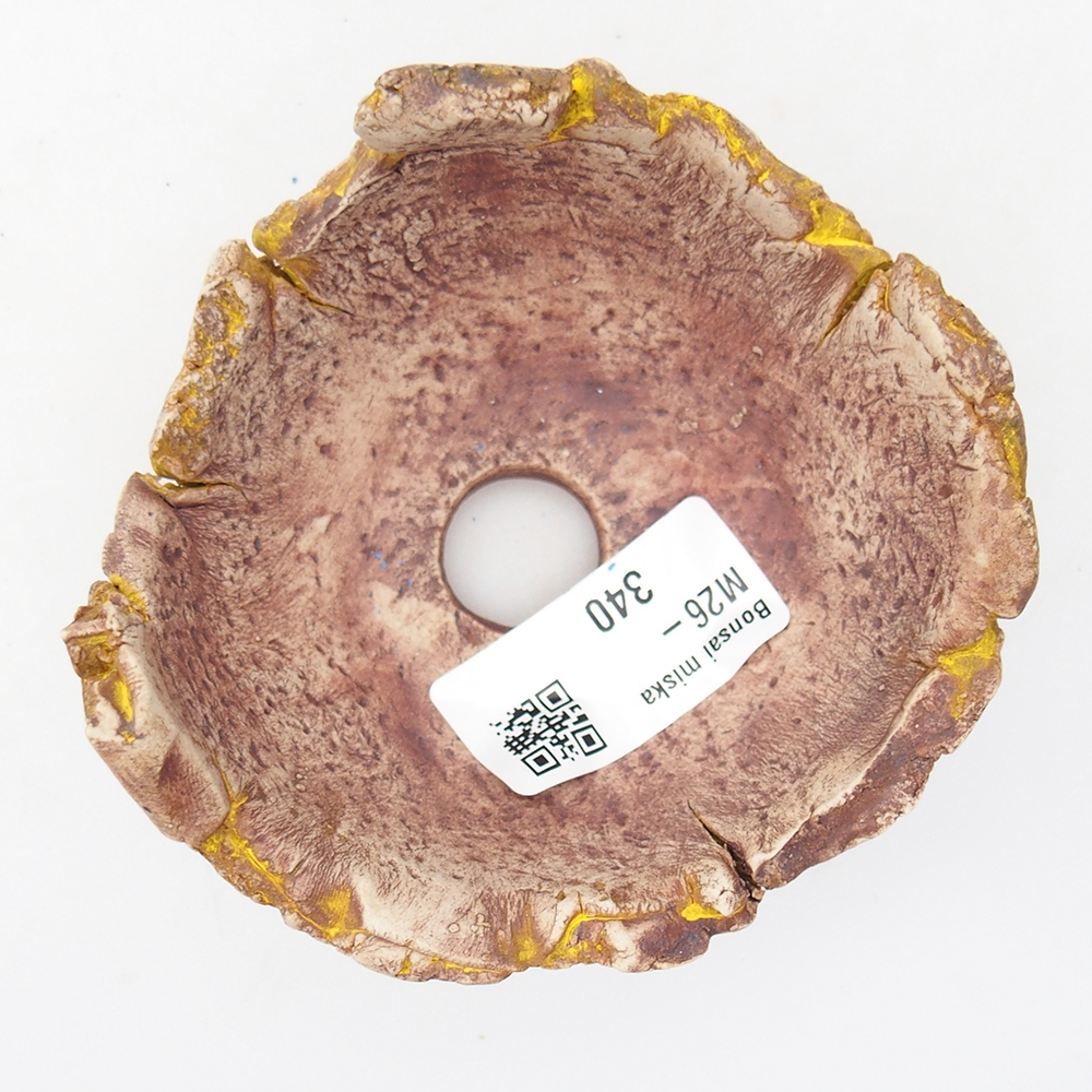 Ceramic Shell 9 x 9 x 5,5 cm , yellow