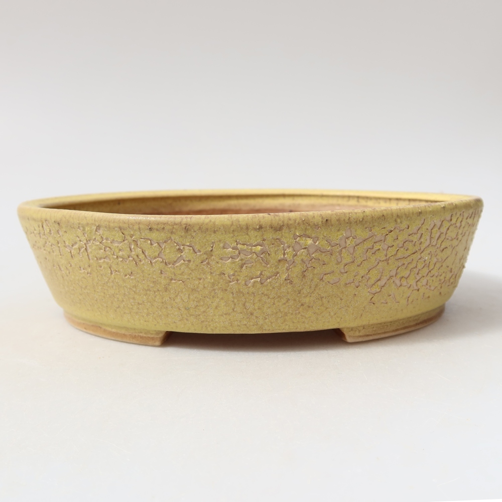 Ceramic bonsai pot, 18.5 x 16.5 x 4.5 cm, yellow