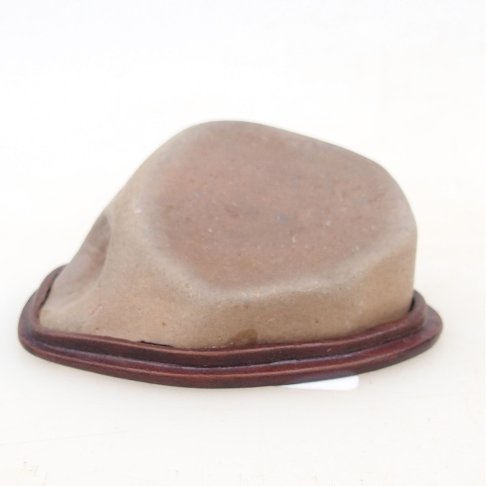 Suiseki - Stone with DAI (wooden pad)