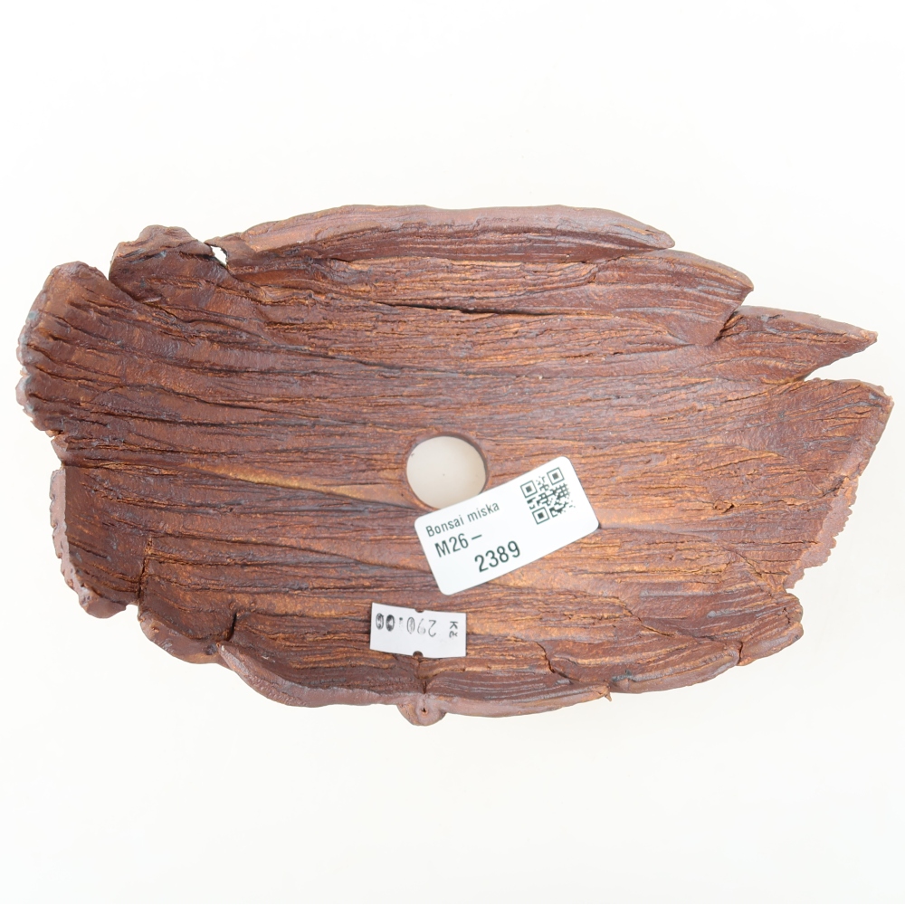 Ceramic Shell  15.5 x 10.5 x 10.5 cm, brown