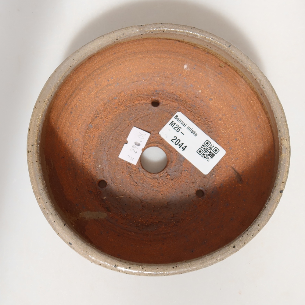Ceramic bonsai pot, 14 x 14 x 5.5 cm, beige