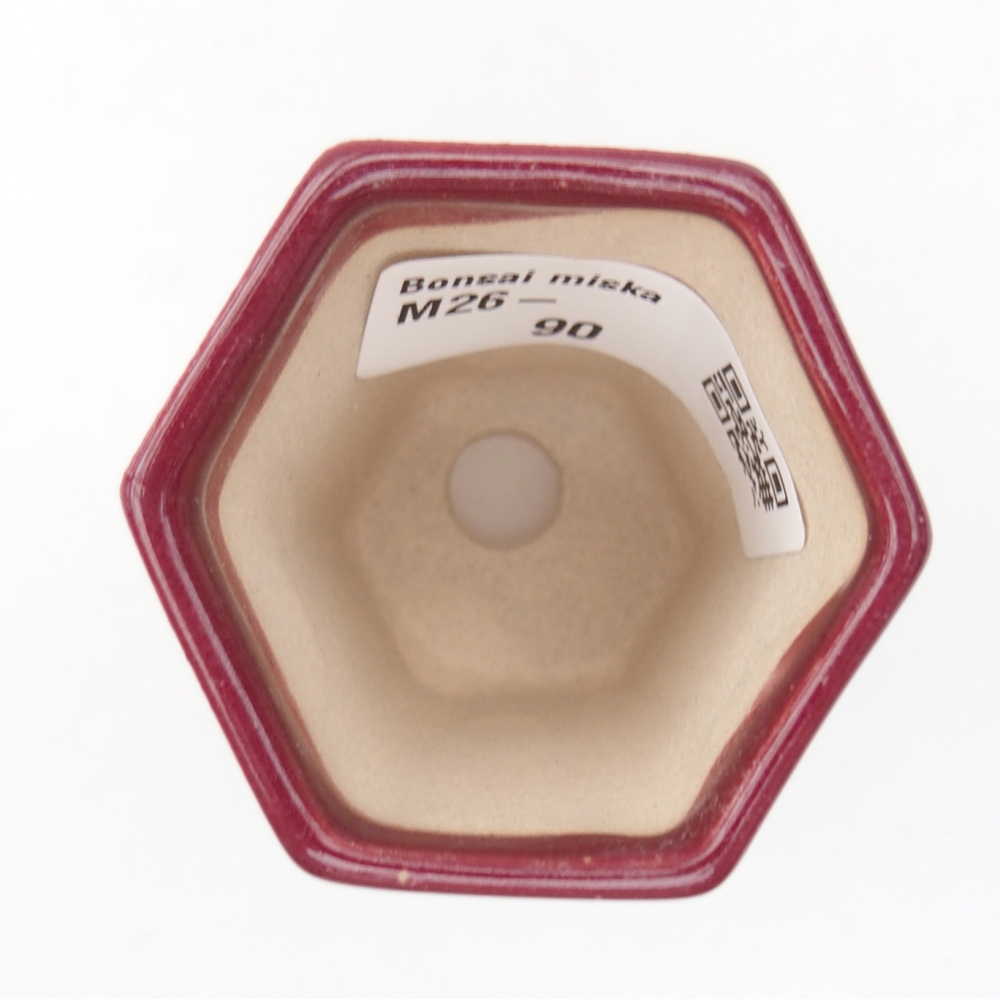 Mini bonsai bowl 5 x 4,5 x 6,5 cm, burgundy