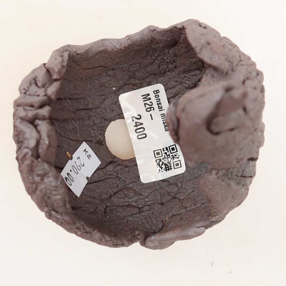 Ceramic Shell, 8 x 8 x 13 cm, brown