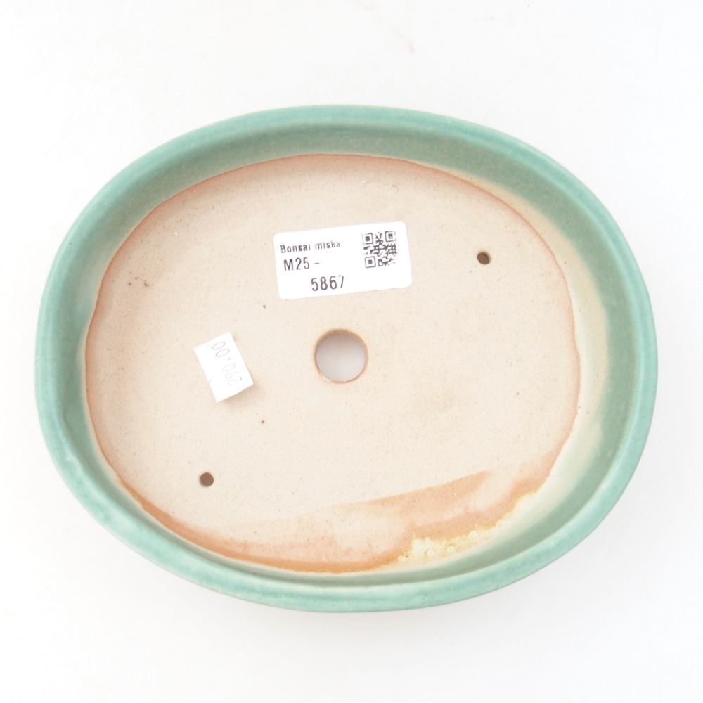 Ceramic bonsai bowl 17 x 14 x 4 cm, color green