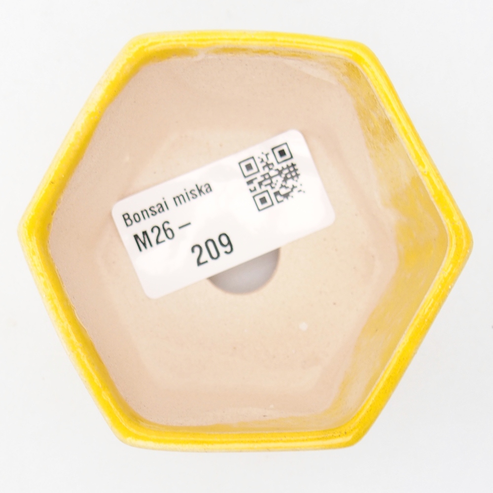 Mini bonsai bowl 7 x 6,5 x 4,5 cm, yellow
