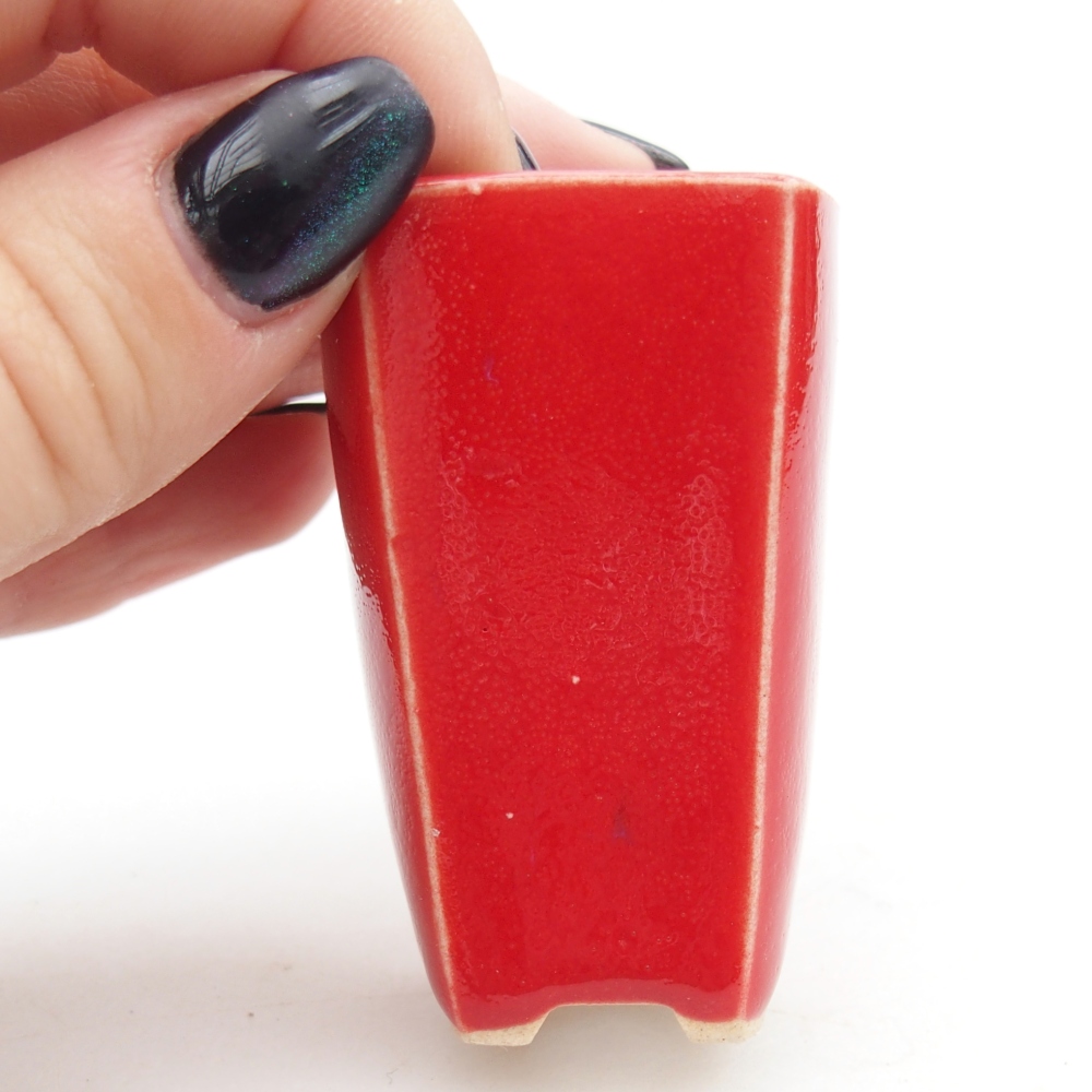 Mini bonsai bowl 3,5 x 3 x 5,5 cm, colour red