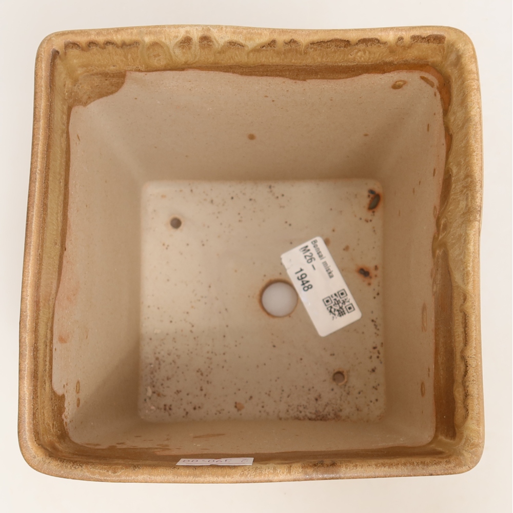 Ceramic bonsai pot, 13 x 13 x 13.5 cm, beige