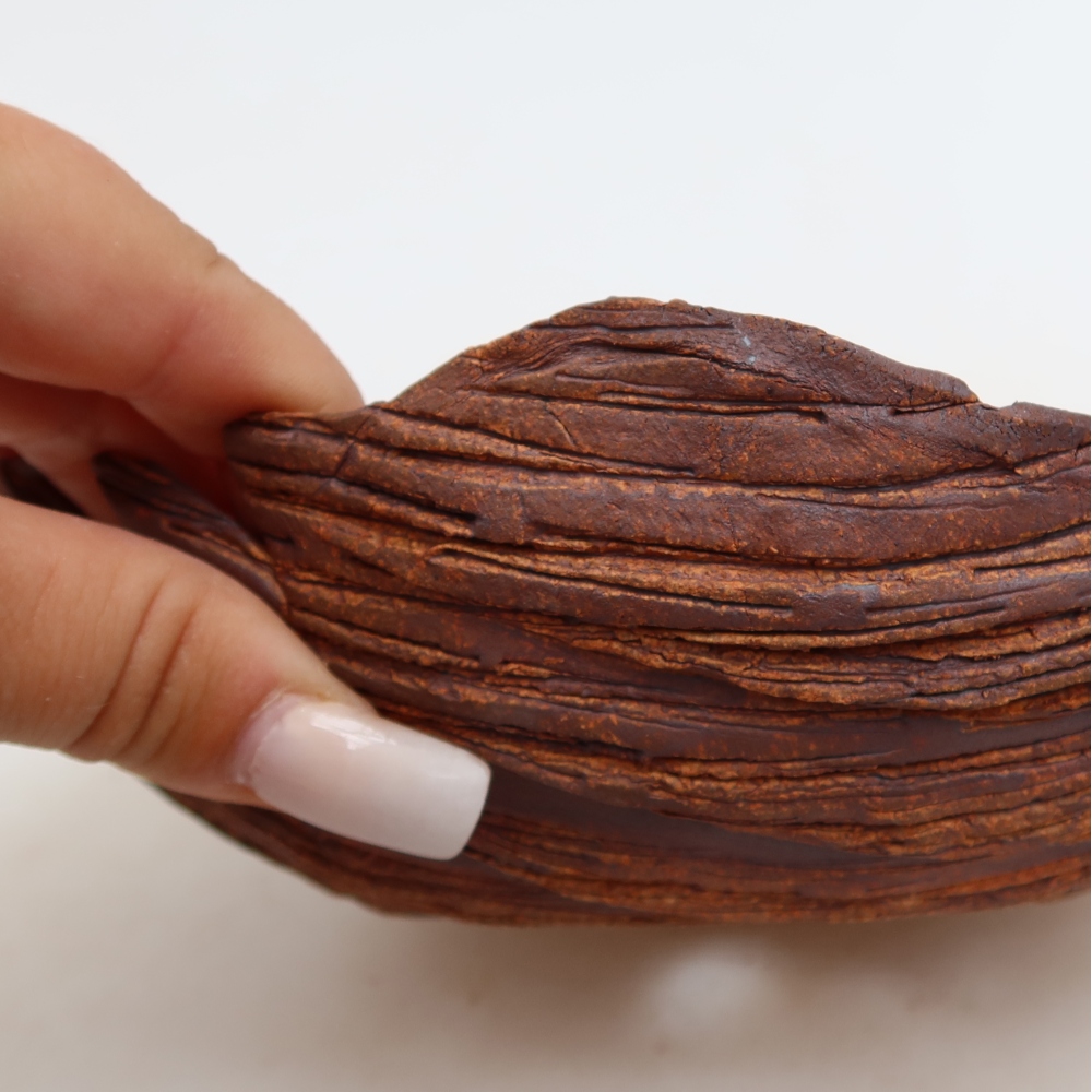 Ceramic Shell, 18 x 15 x 8 cm, brown