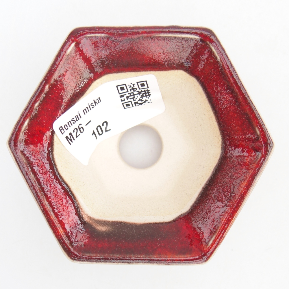 Mini bonsai bowl 8 x 7 x 3 cm, colour red