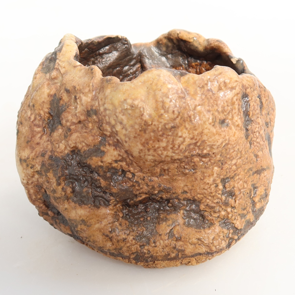 Ceramic Shell, 7 x 6 x 6 cm, brown