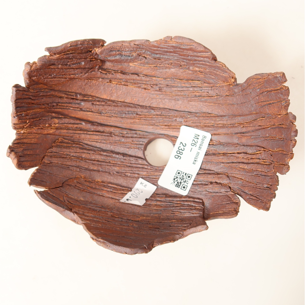 Ceramic Shell  14.5 x 11.5 x 7.5 cm, brown