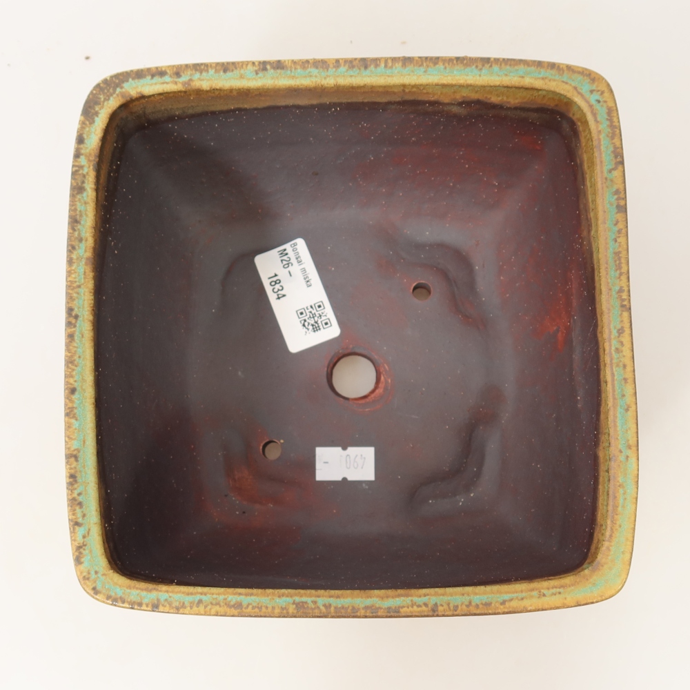 Ceramic bonsai pot, 16.5 x 16.5 x 9.5 cm, green