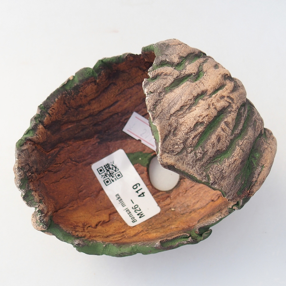 Ceramic shell 11 x 10 x 10 cm , colour green