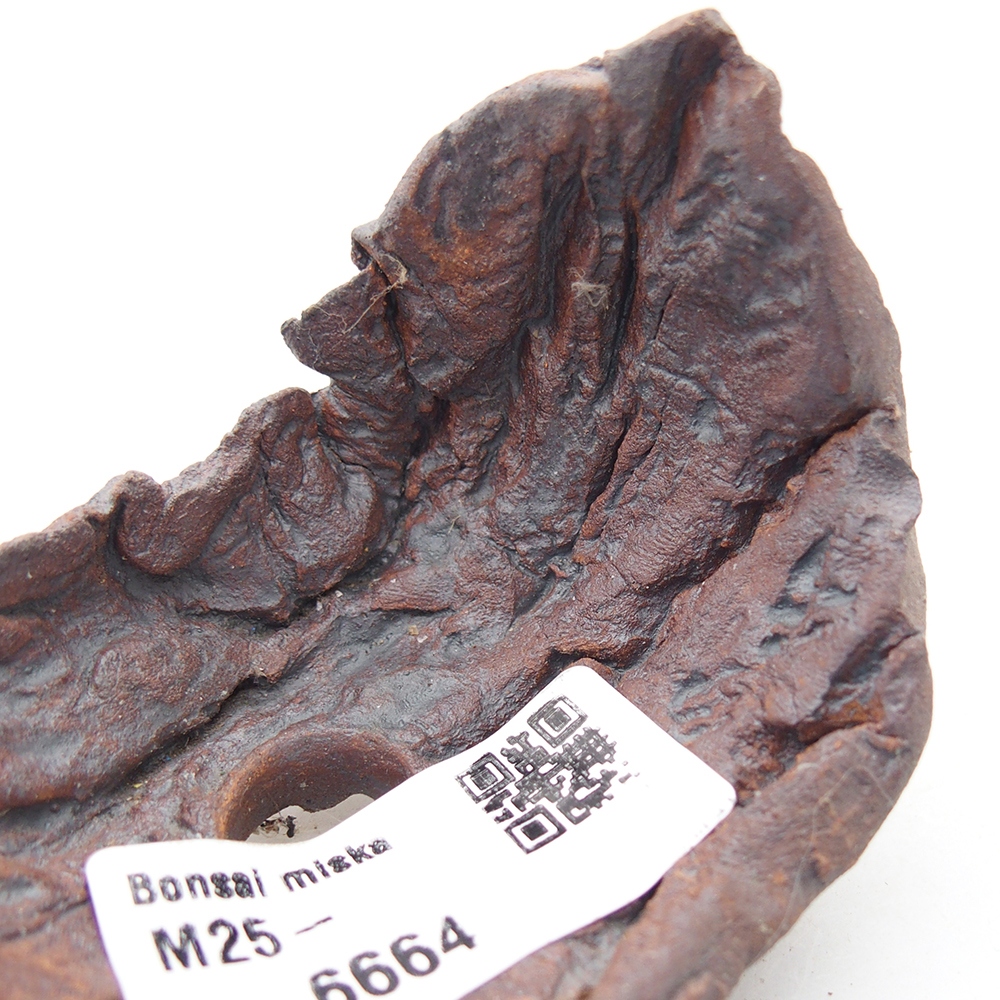 Ceramic Shell 7,5 x 5,5 x 6 cm , colour brown