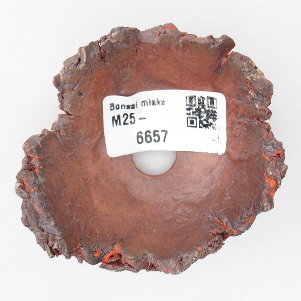 Ceramic shell 8 x 7 x 3,5 cm , colour orange