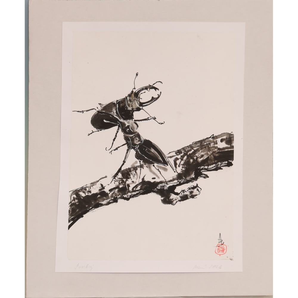 Calligraphy - Duel